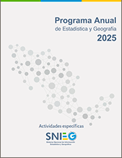 Imagen de la portada del programa Anual de Estadística y Geografía 2025, Tomo dos, Actividades específicas