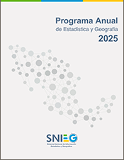 Imagen de la portada del programa Anual de Estadística y Geografía 2025, Tomo uno, versión ejecutiva